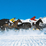 White Turf in St. Moritz erleben White Turf in St. Moritz erleben