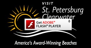 Get Adobe Flash player