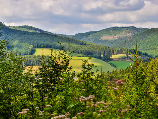 Eine weitere Route im Sauerland